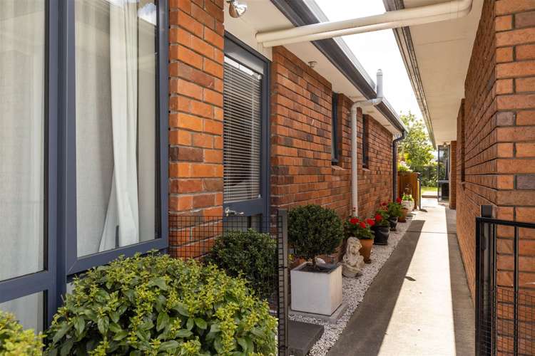 38 Colemans Road Springlands_38