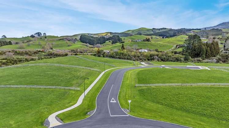 Alexandra Estate Subdivision Pirongia_5