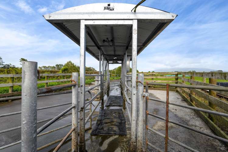 299 Cardiff Road Cardiff_14