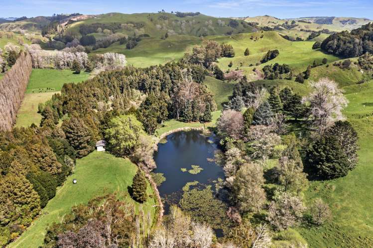 1741 Tikitiki Road Te Kuiti_12