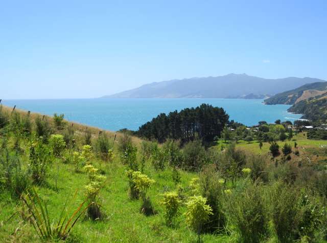 1596 Colville Road Coromandel_3