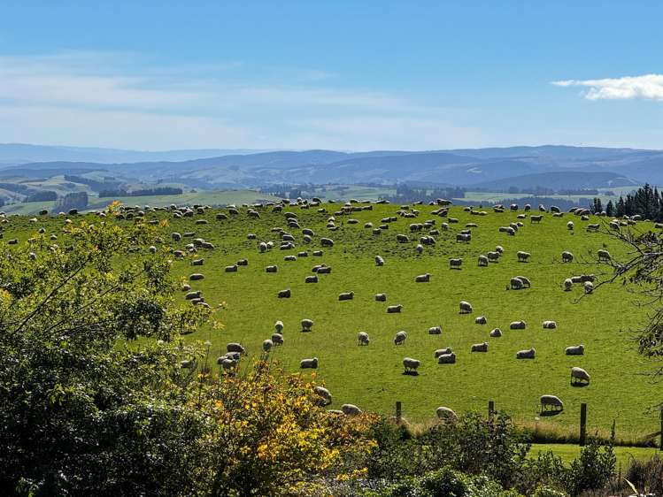 759 Waitahuna Gully Road Lawrence_22