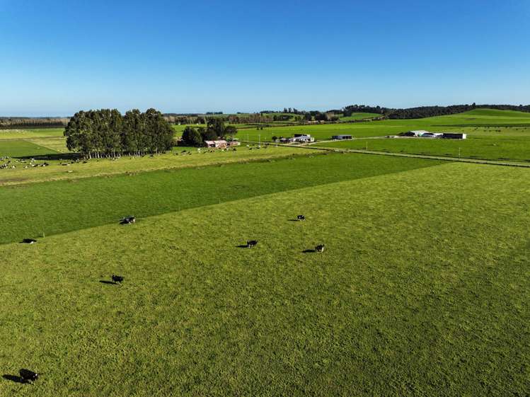 61 Donald Road Edendale_12