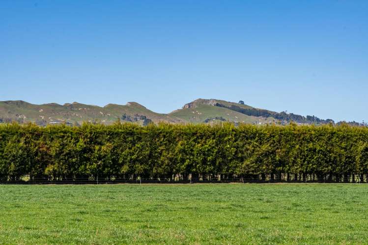 271 Brookvale Road Havelock North_16