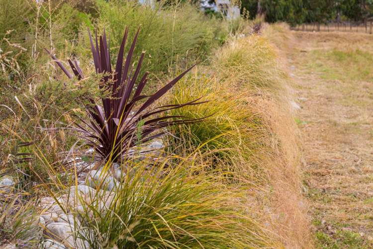 8 Dalefield Road Carterton_5