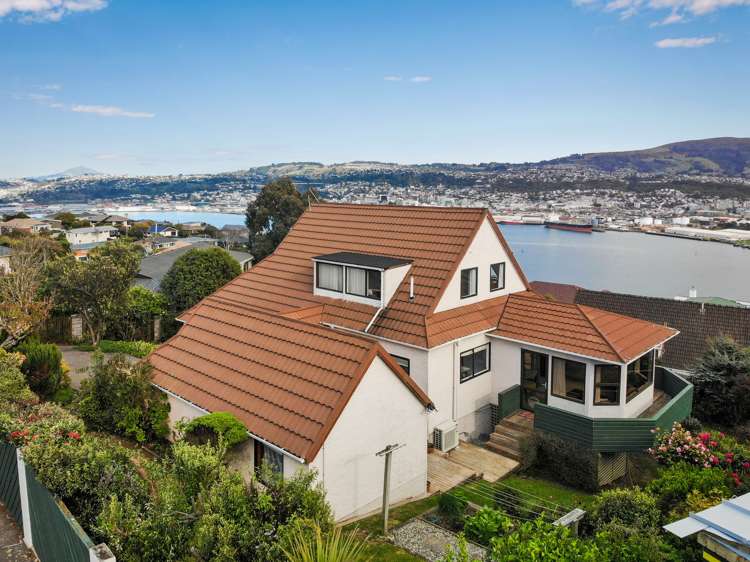 207 Larnach Road_0