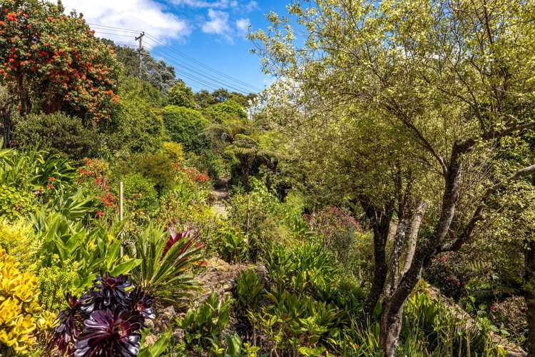 14 Tawa Street Oneroa_14