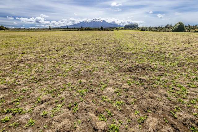 Lot 13 Matapuna Road Horopito_1