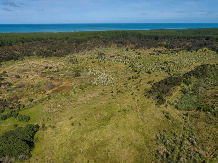 Lot 2/DP170782 Wilson Road South Head_19