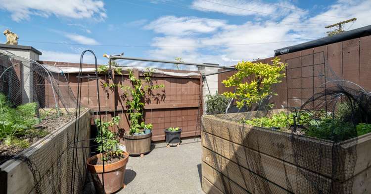 38B Monro Street Blenheim_20