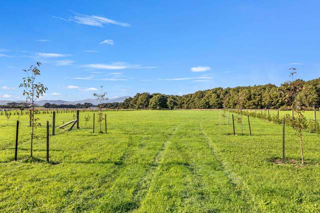 35 Woven Stone Way Ohau_1