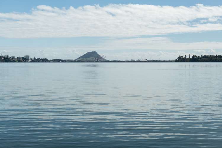 202 Maungatapu Road Maungatapu_6