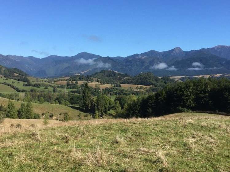 35 Thorpe-Orinoco Road Ngatimoti_3