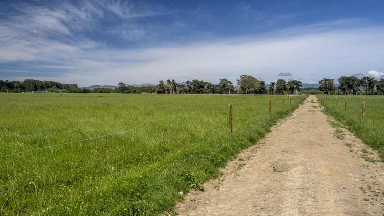 162 Hamua Hukanui Road Eketahuna_11