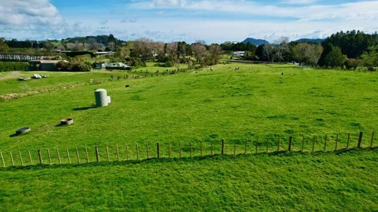 Lot 3 Main Road Kauri_7
