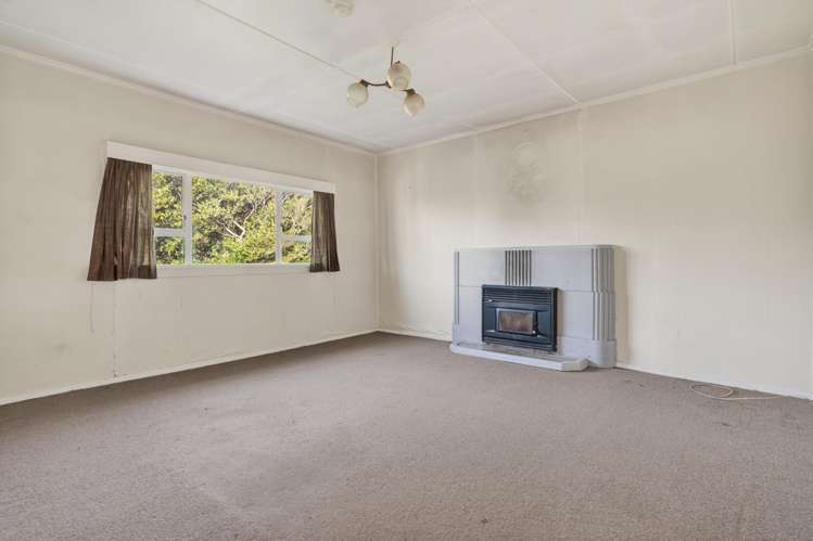 343 Neems Road Tinopai_9