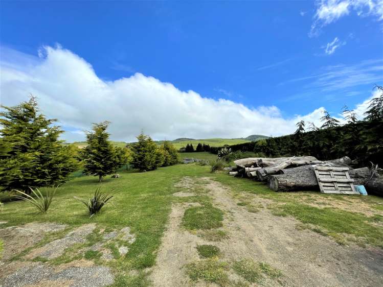 1019 Owaka Valley Road Catlins Surrounds_15