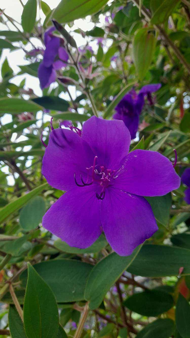 279 Taratara Road Kaeo_29