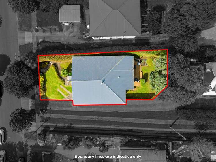 116 Paihia Street One Tree Hill_15