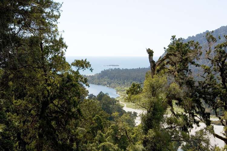 Lot 6 Paringa River Area_5