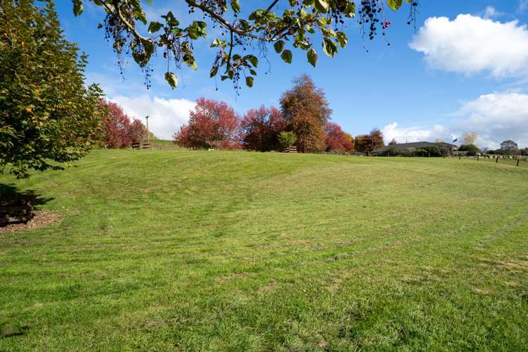 1/806 Maungatautari Road Cambridge_5