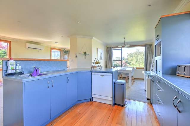 141 Kakapo Street Gore_2