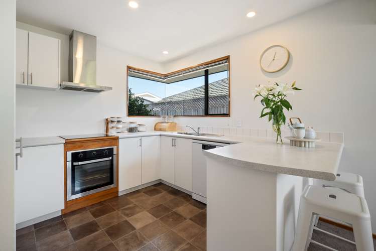 26a Diamond Avenue Spreydon_12