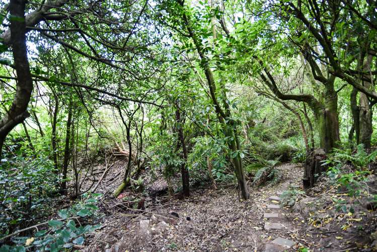 5 Napier Street Belleknowes_19