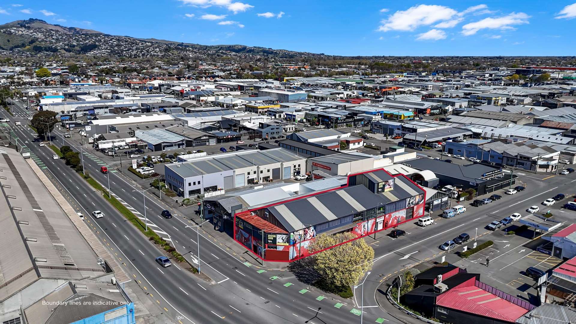 239 Waltham Road Sydenham_0