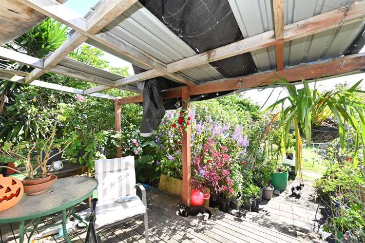 19 Constable Crescent Onekawa_11