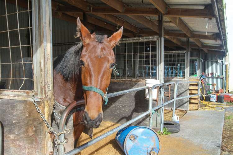 27a Royal Doulton Drive Pukekohe_14