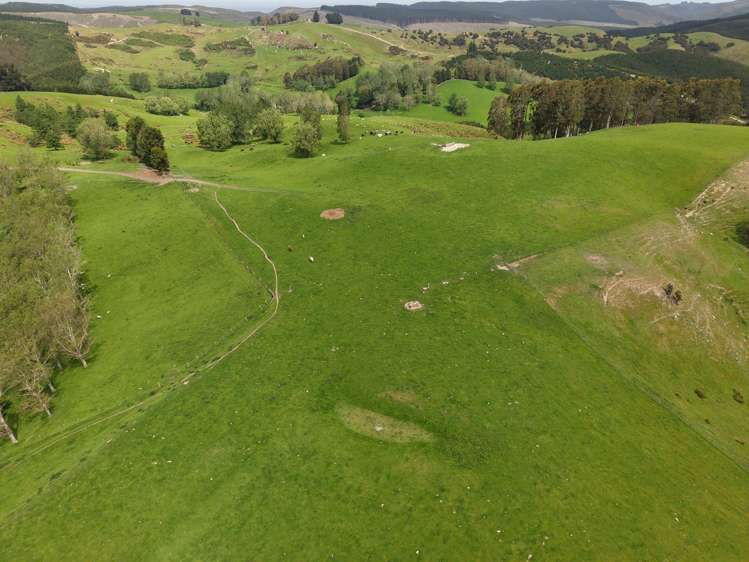 66 Otokia-Kuri Bush Road West Henley_13