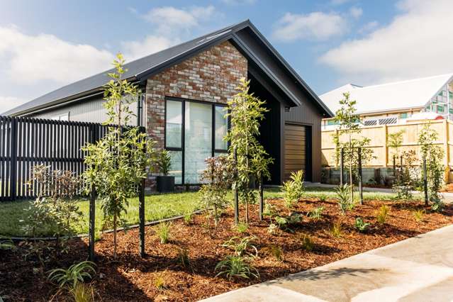 Modern Charm in the Heart of Huapai Triangle