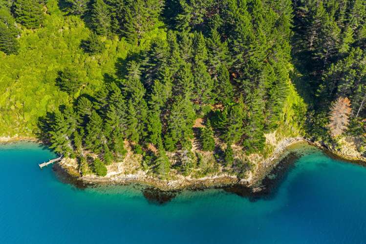 Lot 1 Maraetai Bay Queen Charlotte Sound_14