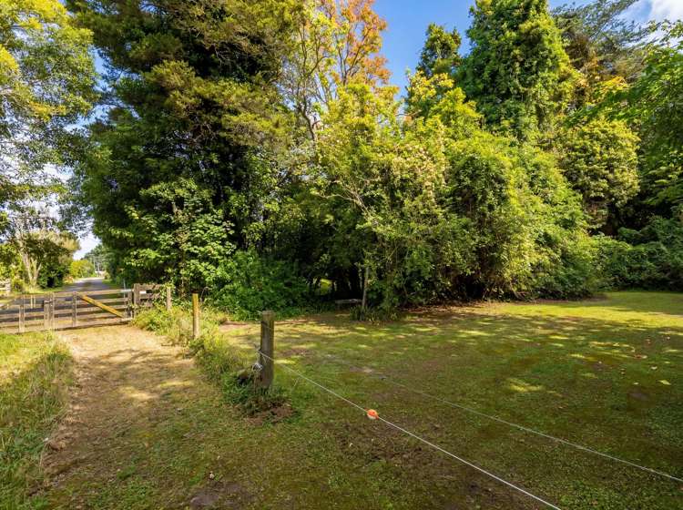 317 Wood Street Greytown_25