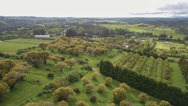 405 Tara Road Mangawhai_2