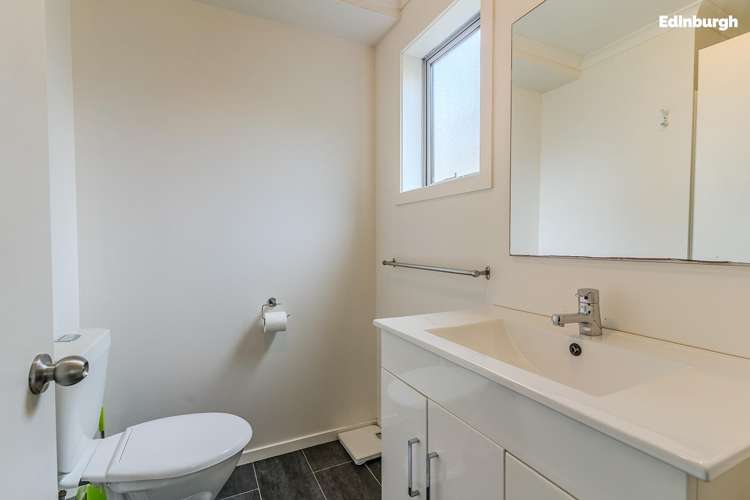 2d Saint David Street North Dunedin_13