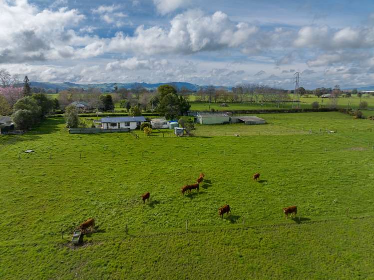 81 Marychurch Road Pukemoremore_14