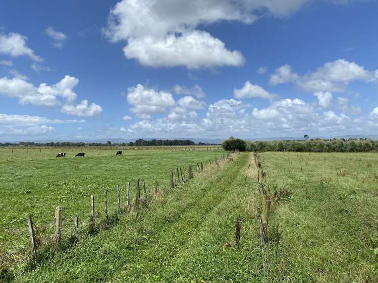 105 Aranui Road Kairanga_31