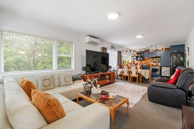 66B Queenstown Road Hillsborough_3