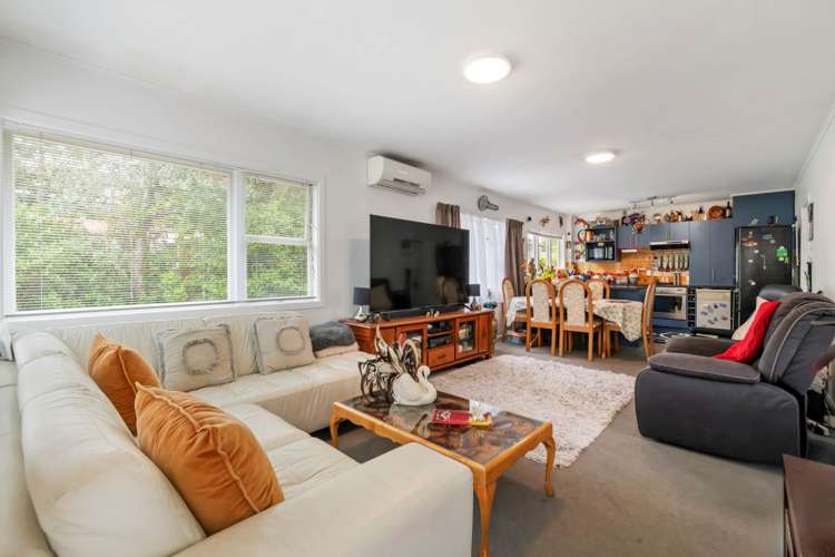 66B Queenstown Road Hillsborough_2