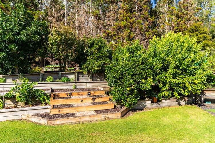 81 Avocado Lane Mangawhai_22