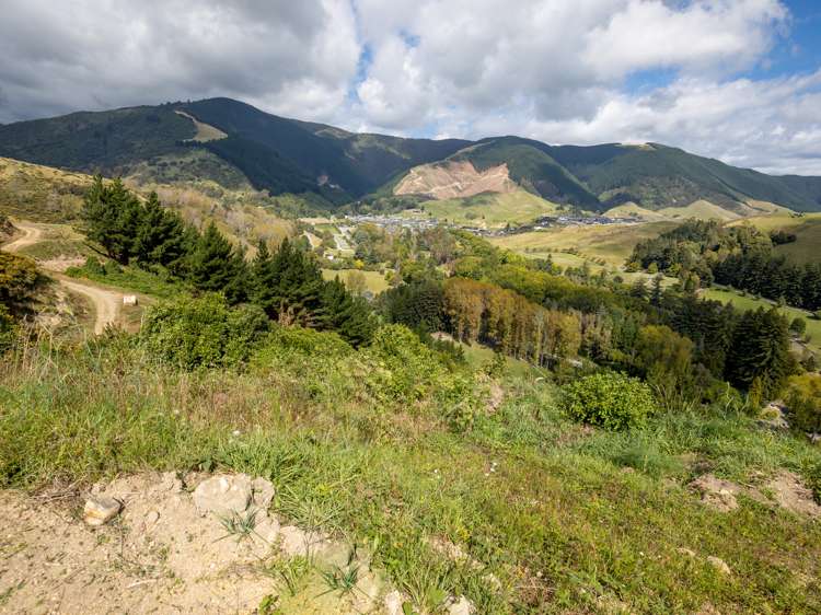 184 Panorama Drive Enner Glynn_5