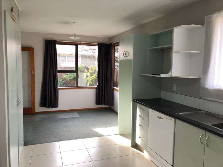 10 Parker Street Hornby_5