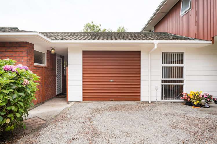 45 Dittmer Drive Awapuni_20