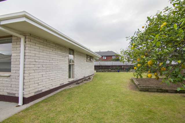 115b Fourteenth Avenue Tauranga South_4