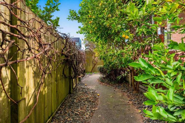 11A Lodge Avenue Mt Maunganui_7