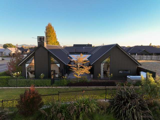 Premium Highsted Executive Showcase