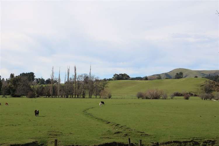 33 Cadman Street Cheviot_19