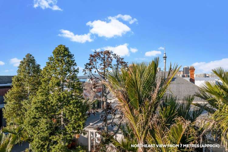 217 Ponsonby Road Ponsonby_18